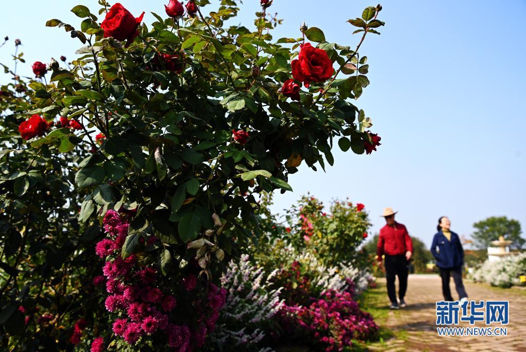 （轉載）西安：發展“農業景區” 助力鄉村振興