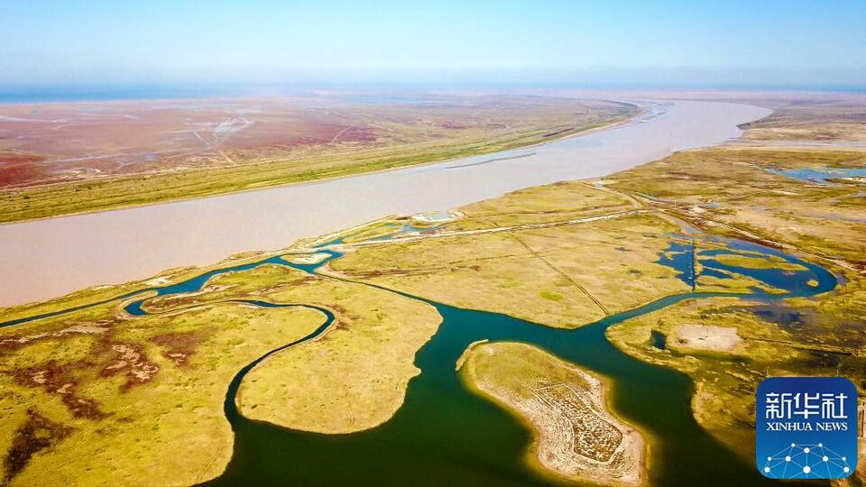 湿地之美丨山东黄河三角洲湿地