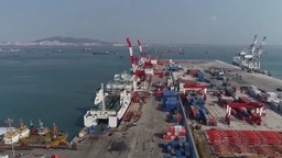 山東：搶抓RCEP機遇拓市場 促進外貿固穩提質