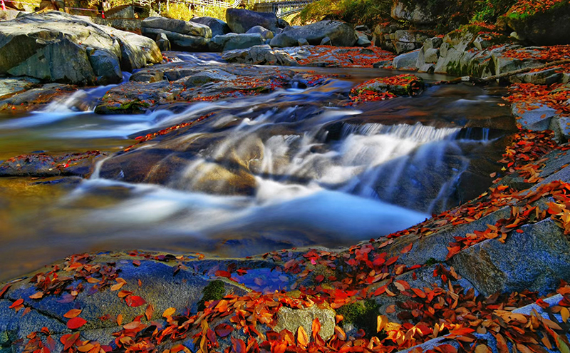 Red Leaves In A Fairyland At Sichuan Guangwu Mountain