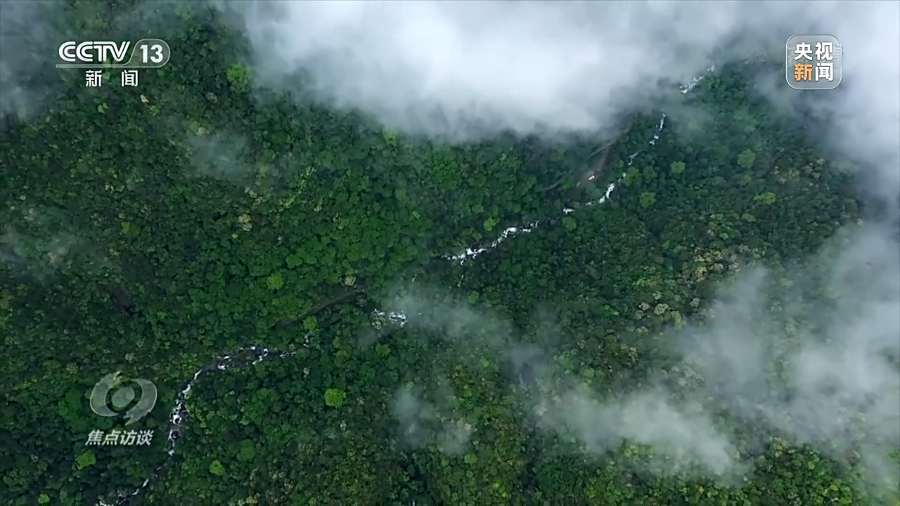 焦点访谈丨奋斗 新的伟业——推动绿色发展 建设美丽中国