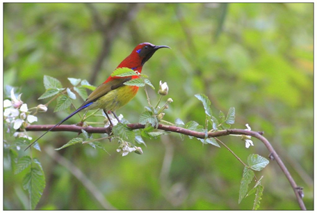 （转载）《生态秘境》总撰稿张海龙：像苏东坡那样感受生态秘境