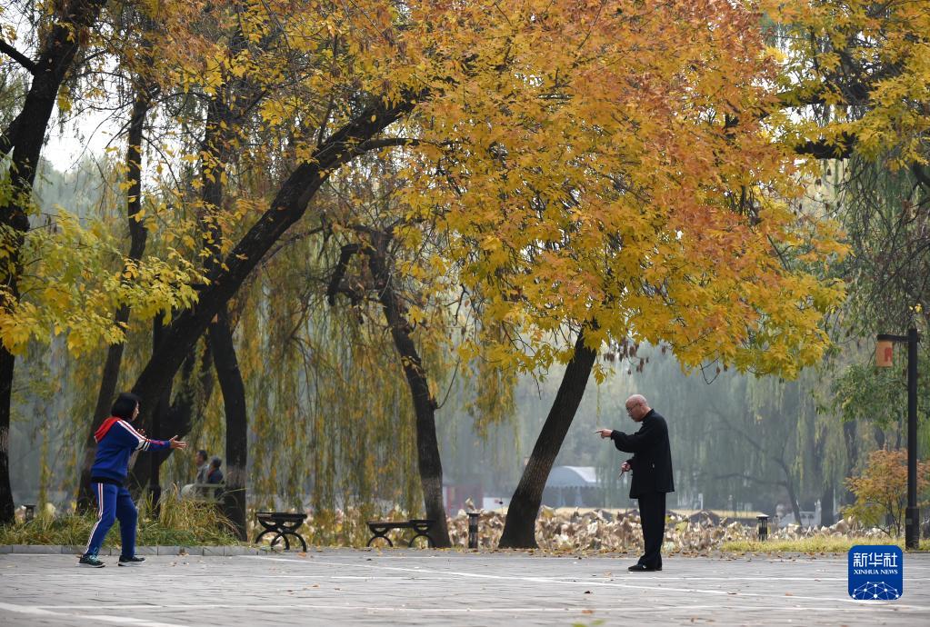 圆明园秋意盎然
