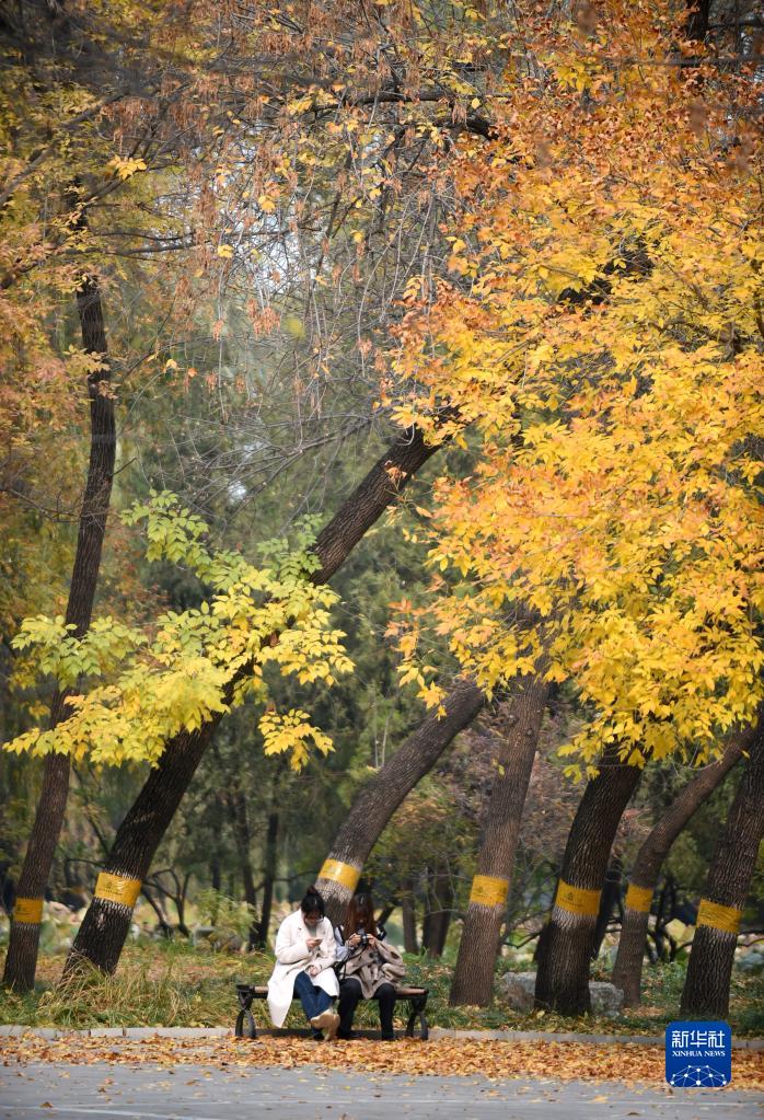 圆明园秋意盎然