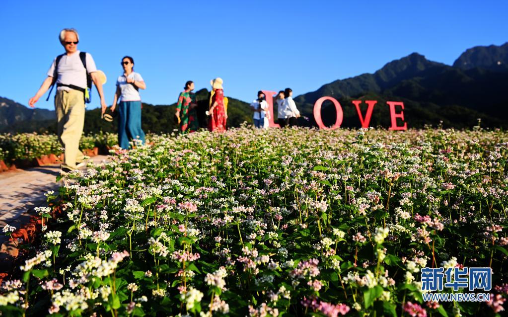 （轉載）西安：發展“農業景區” 助力鄉村振興