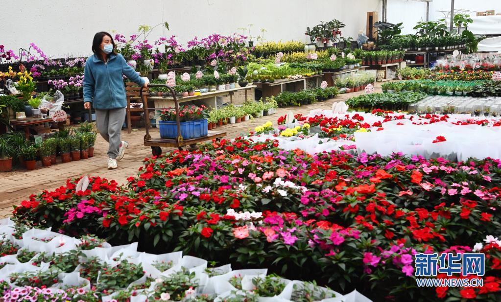 （轉載）西安：發展“農業景區” 助力鄉村振興