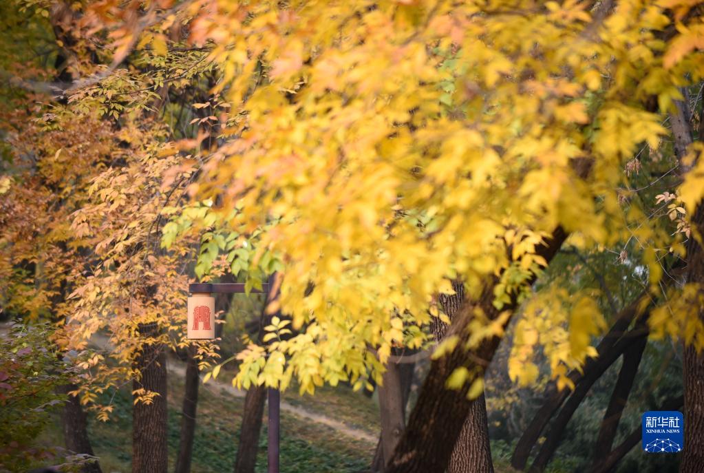 圆明园秋意盎然