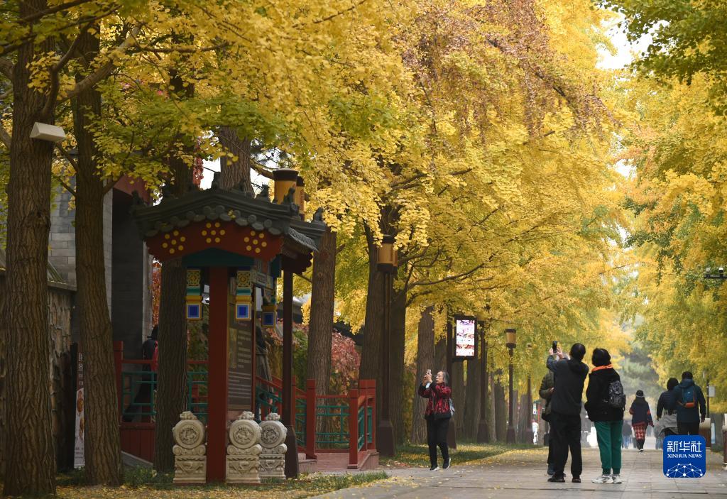 圆明园秋意盎然