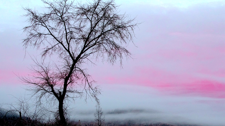 图片默认标题_fororder_a9b7689c42392e20f08e475b627304e9