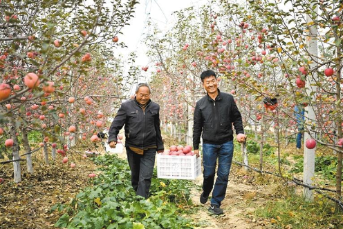 陕西：从苹果大省向苹果强省迈进_fororder_微信截图_20221031094448