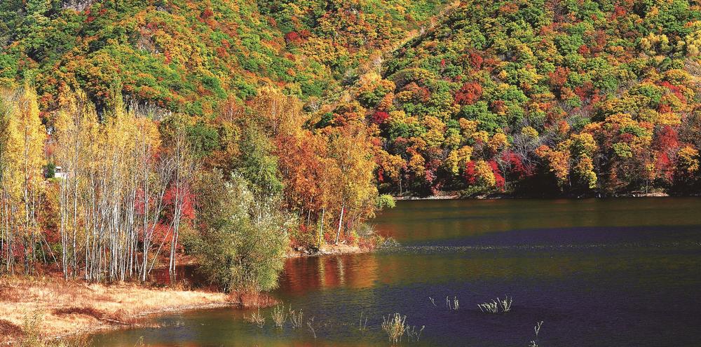 图片默认标题_fororder_246c8df1-cafd-47b2-92c0-6ca83681d957