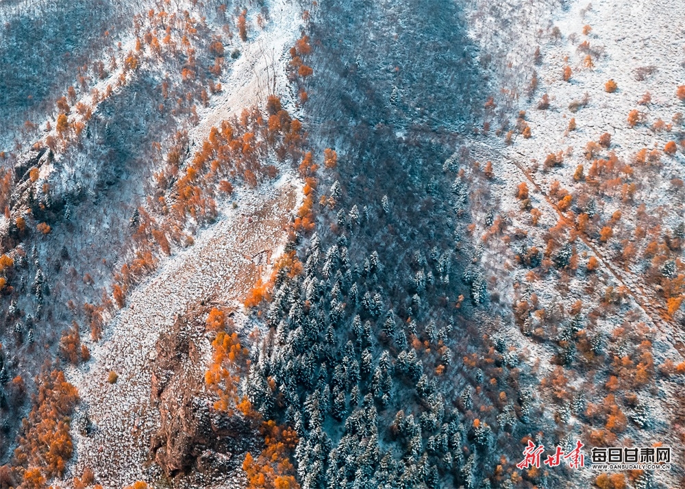 祁連山：漫山秋色猶未盡 白雪粧扮多妖嬈_fororder_6