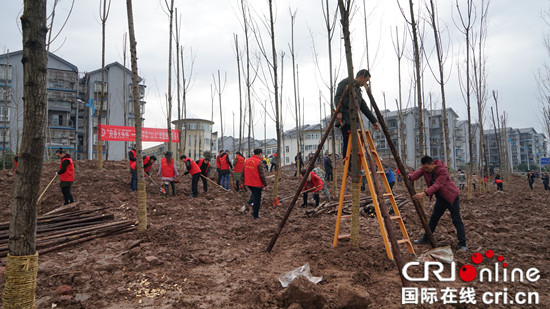 已過審【區縣聯動】【梁平】梁平區開展河流岸線生態復綠集中植樹活動【區縣聯動列表】梁平開展河流岸線生態復綠集中植樹活動