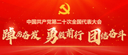 中國共産黨第二十次全國代表大會_fororder_371X160 拷貝