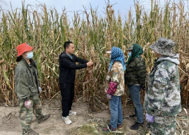 黑龙江齐齐哈尔市：408名科技特派员助农增收560.66万元