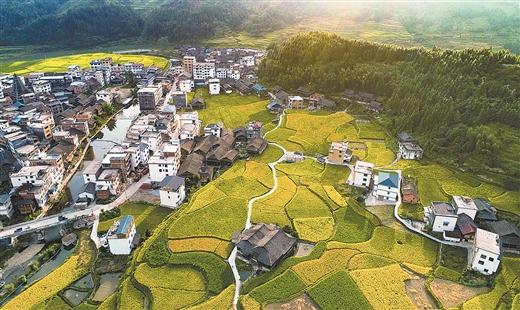 廣西將慶祝第二個“中國農民豐收節”