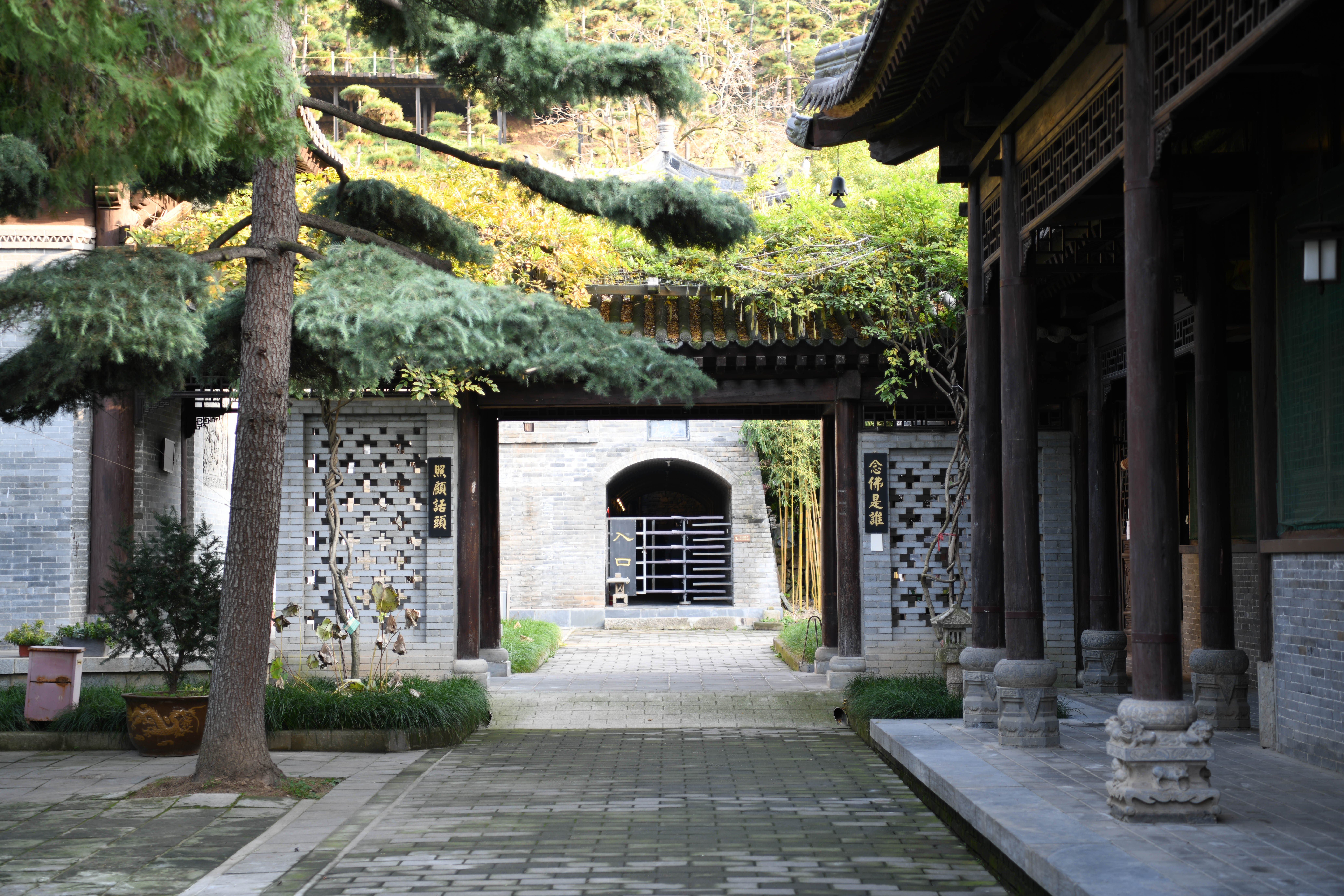 【人间秋色在陕西】秋满长安 李世民手植千年银杏披金甲_fororder_DSC_1641