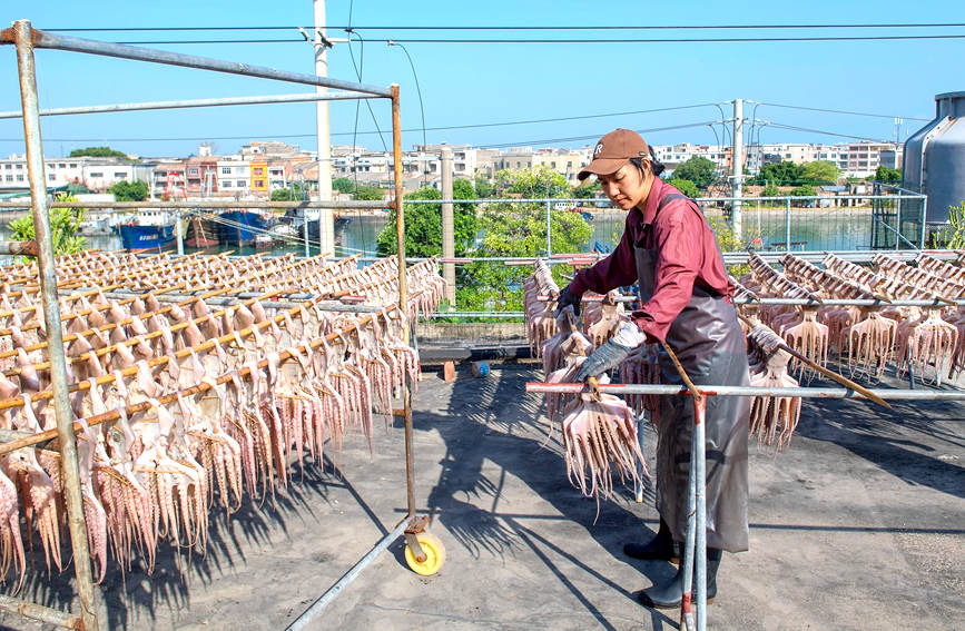 广西北海：渔民出海获丰收“晒海味”