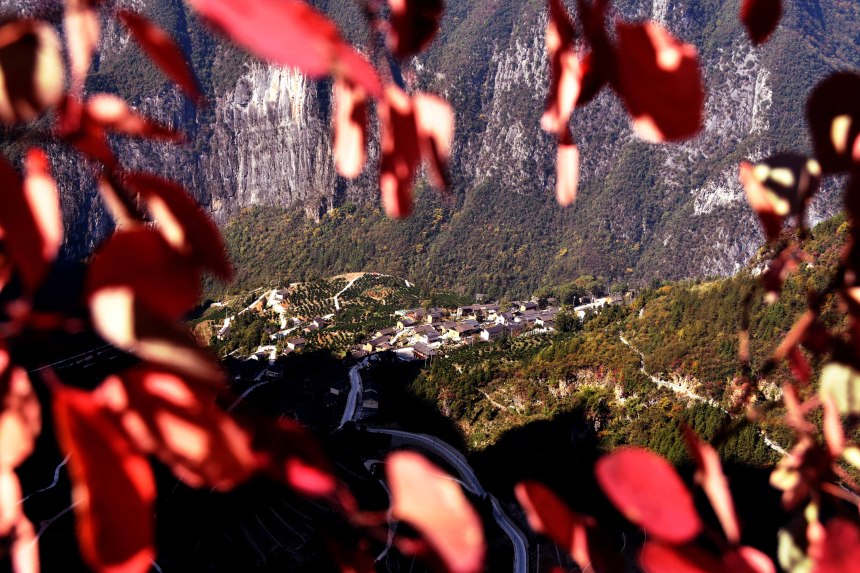 【城市遠洋帶圖】重慶巫山：初冬下莊 風景如畫