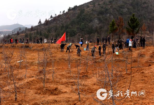 （副头条）2018年义务植树活动在省市县乡村同步举行