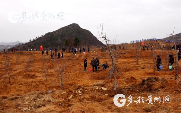 （副头条）2018年义务植树活动在省市县乡村同步举行