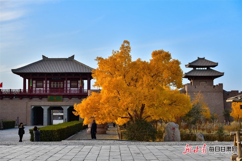 【輪播圖】敦煌：大漠胡楊映陽關 塞外秋色迎遠客_fororder_3