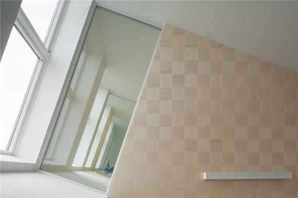 讓人變扭的高科技房子 屋頂的傾斜角度達到19°