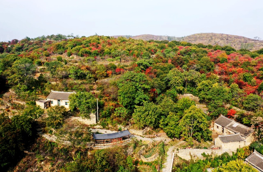 平顶山宝丰：山乡秋色美