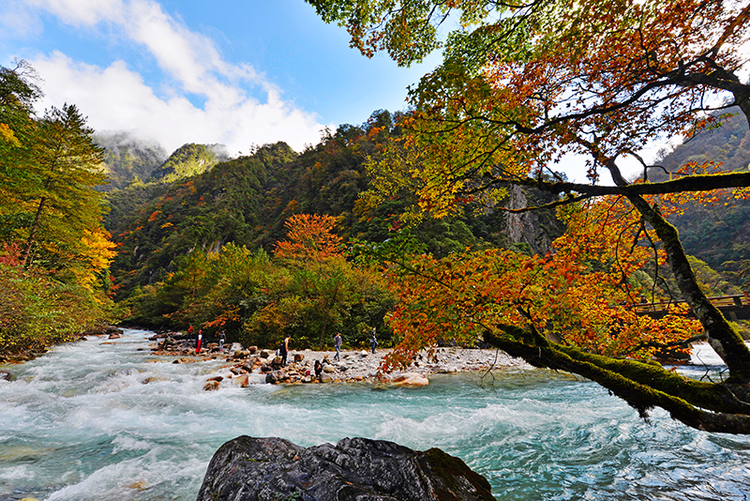 2022四川紅葉生態旅遊節分會場暨寶興夾金山第十一屆紅葉節啟幕_fororder_寶興紅葉彩林-攝影-高華康