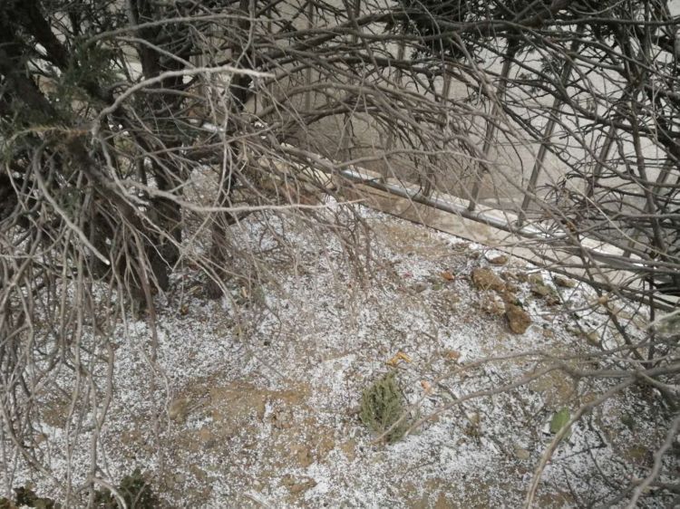 大风刮来“倒春寒”气温骤降近20℃