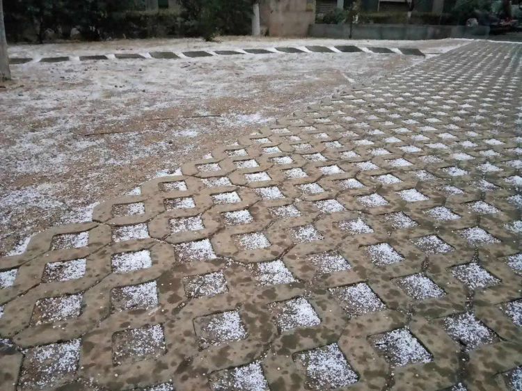 大风刮来“倒春寒”气温骤降近20℃