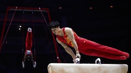 捏碎杠子我也不能掉下来——记体操世锦赛新科冠军杨家兴