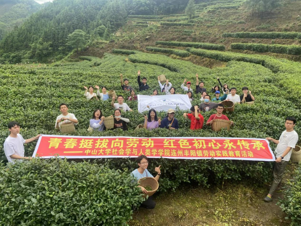 小茶叶成为乡村振兴的致富叶_fororder_小茶叶成为乡村振兴的致富叶950