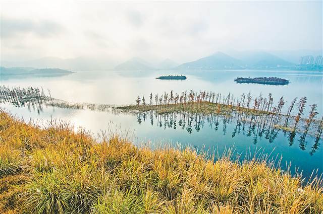【区县联动】【开州】渚清沙白鸟飞回 开州汉丰湖迎来大量冬季候鸟【区县联动　列表】开州汉丰湖迎来大量冬季候鸟