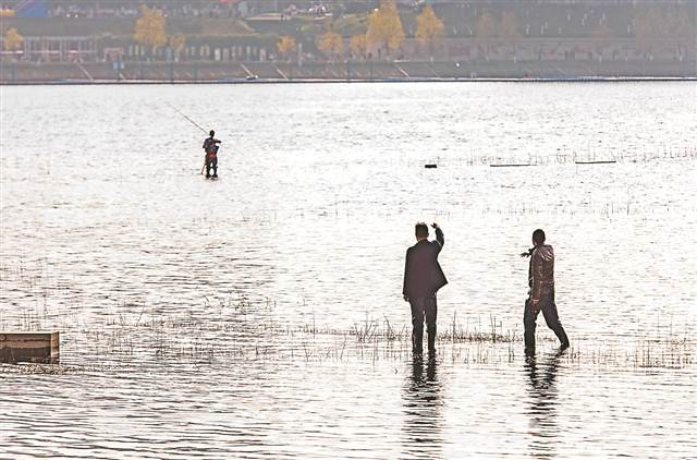 【区县联动】【开州】渚清沙白鸟飞回 开州汉丰湖迎来大量冬季候鸟【区县联动　列表】开州汉丰湖迎来大量冬季候鸟