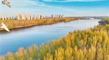 北京城市副中心 创建国家森林城市