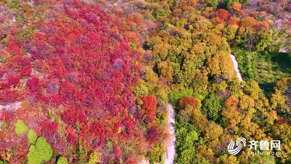 诗画山东｜带您沉浸式观赏东平山水秋色