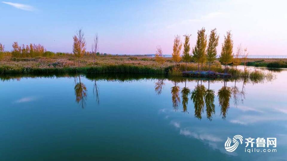 诗画山东｜带您沉浸式观赏东平山水秋色