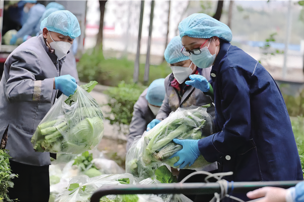 【原创】重庆渝北：劳动模范为封控居民送上10万斤新鲜蔬菜_fororder_4