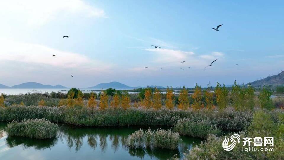 诗画山东｜带您沉浸式观赏东平山水秋色