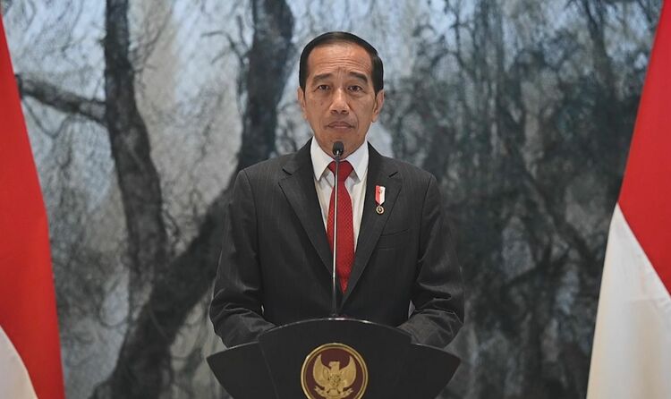 印尼总统佐科：进博会为促进世界经济增长复苏提供对话平台