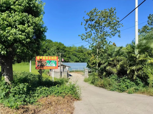 河南光山：董湾村里“板凳会” 共话发展颂党恩