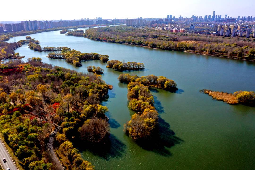 瀋陽：灘地公園秋景美