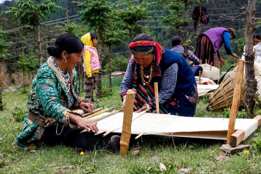 四川木里：一座“天然动植物园”