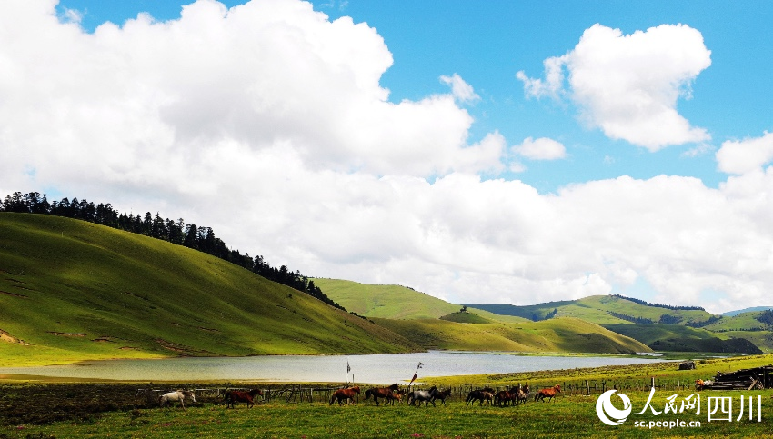 四川木里：一座“天然动植物园”