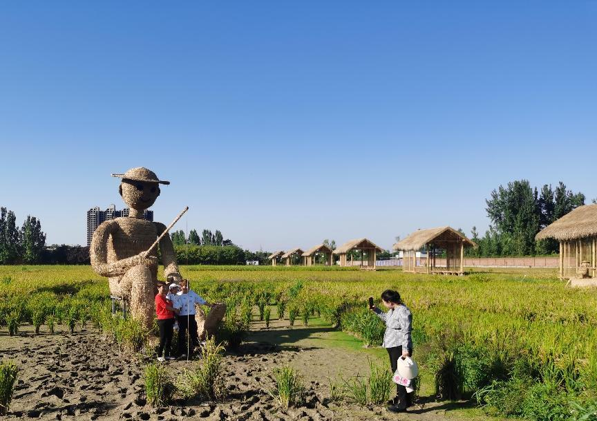 西安高新区2村入选陕西省美丽宜居示范村