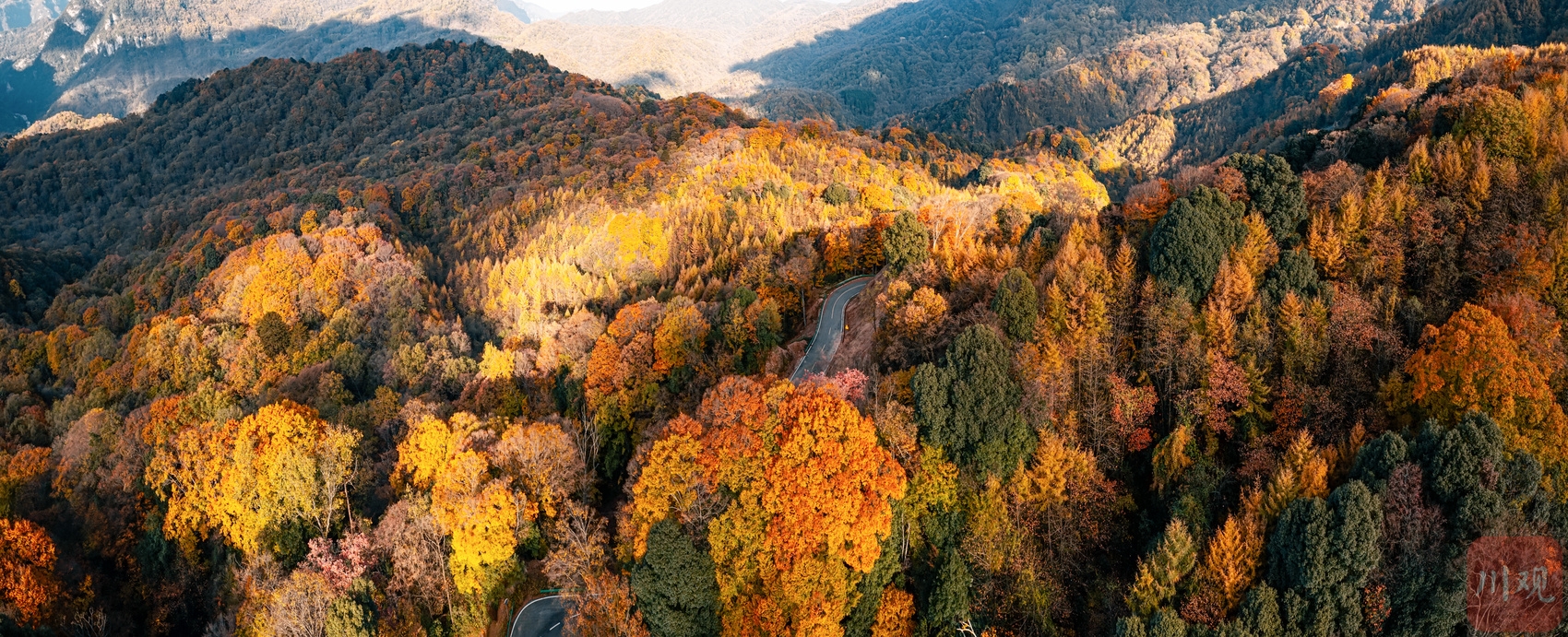 （轉載）秋色醉人 光霧山漫山紅葉似仙境油畫