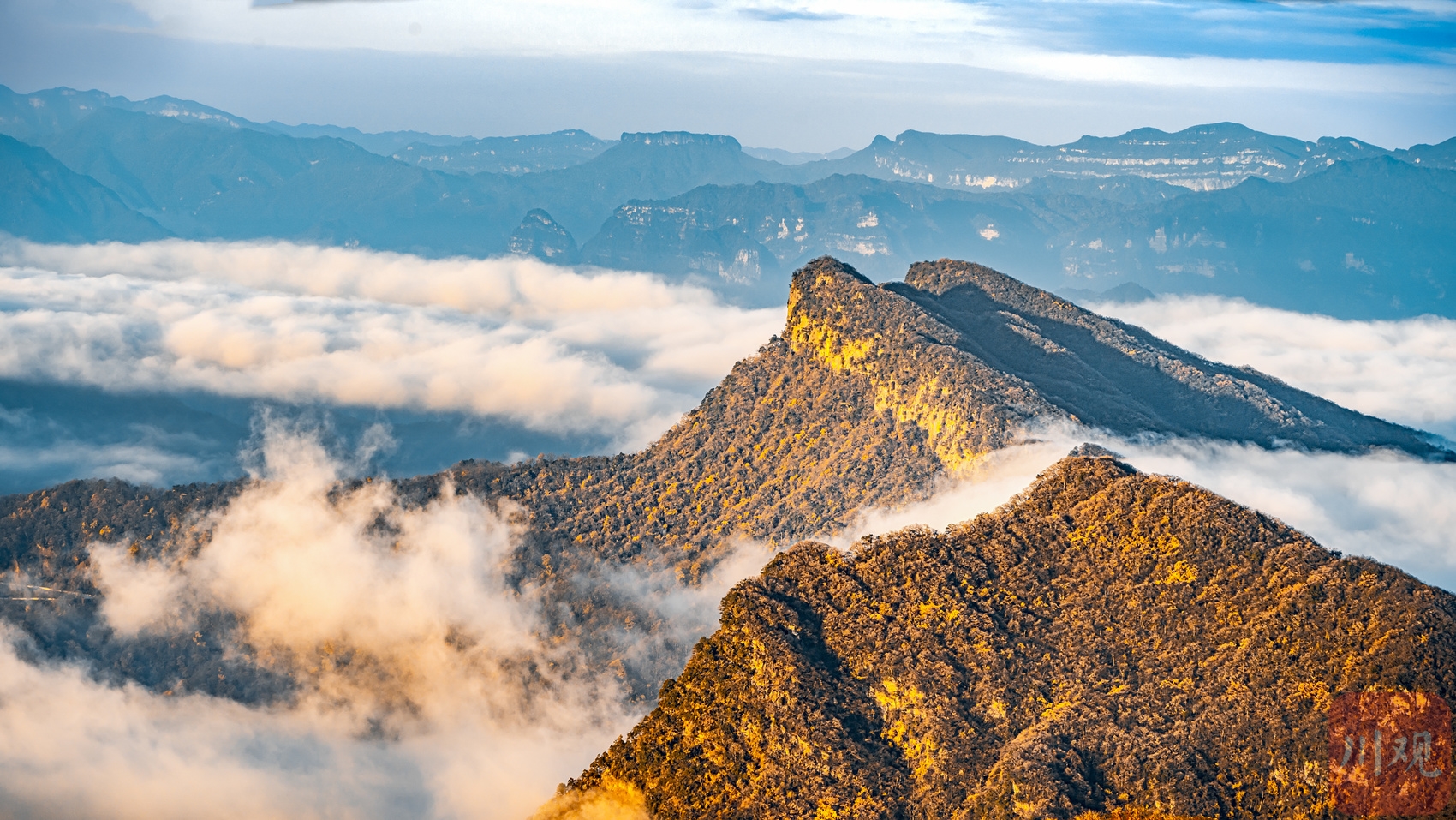 （转载）秋色醉人 光雾山漫山红叶似仙境油画