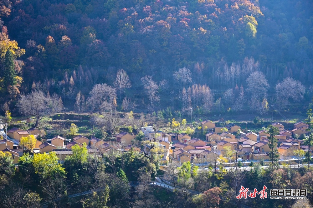 【大美甘肅】隴南：秋末冬初，官鵝溝風景這邊獨好