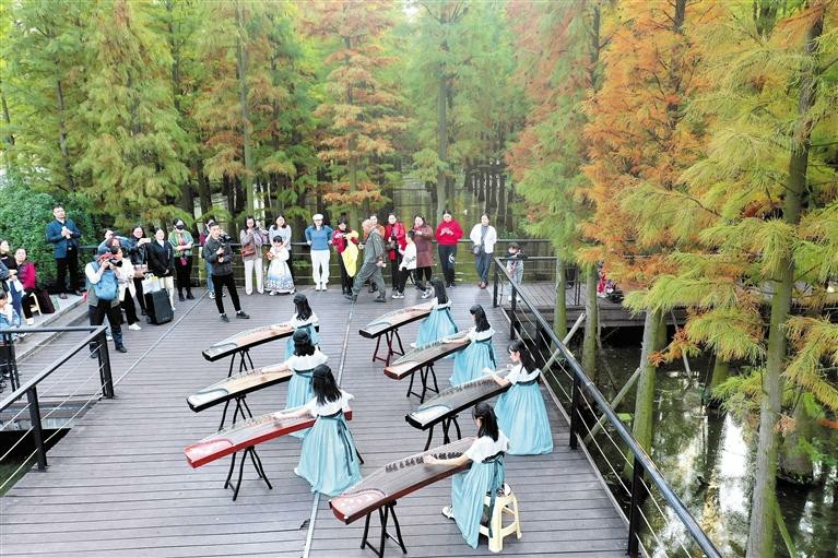 遵义播州：林中琴声_fororder_2